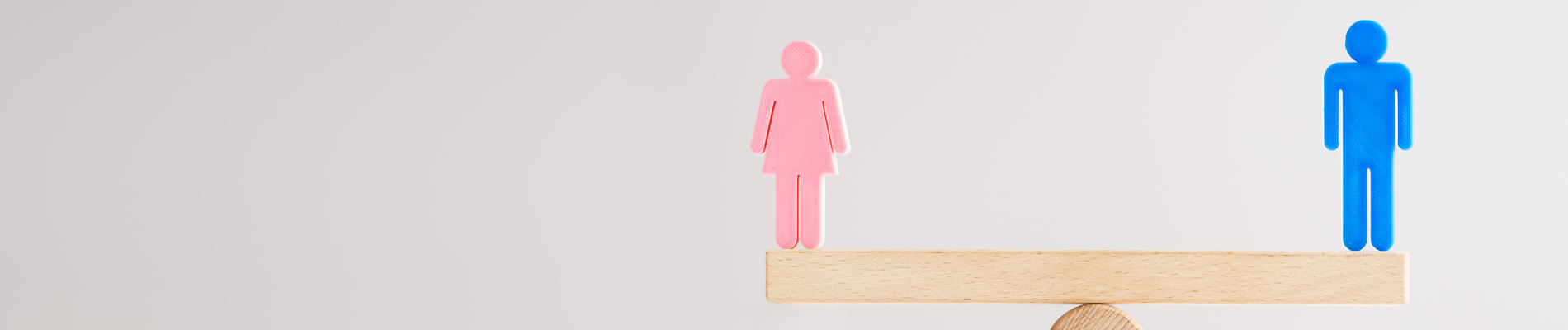 4.000+ bedrijven tonen genderbalans met SER Dataverkenner.png